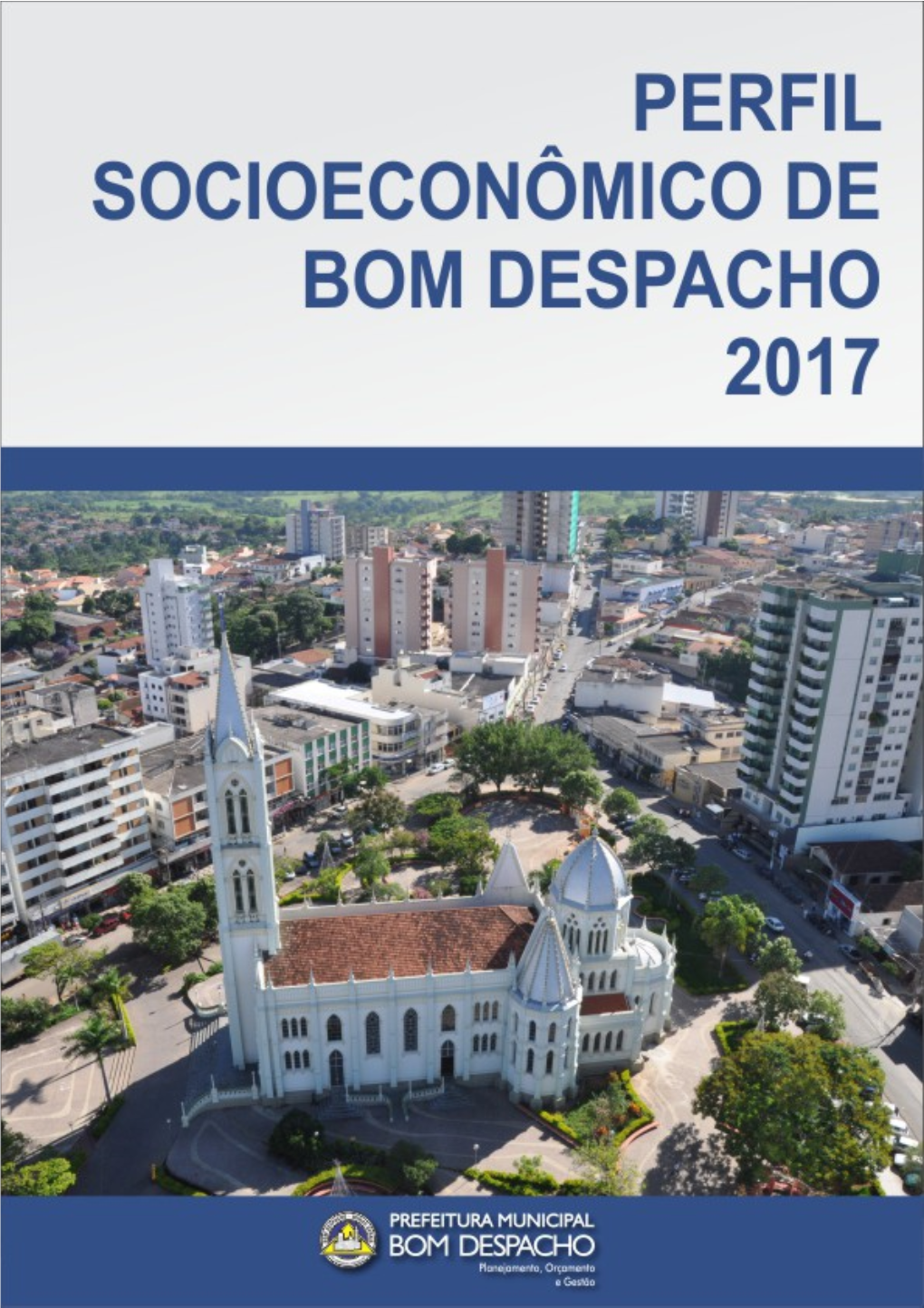 Perfil Socioeconômico De Bom Despacho 2017