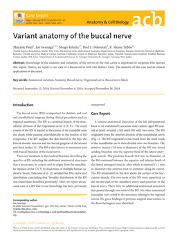 Variant Anatomy of the Buccal Nerve
