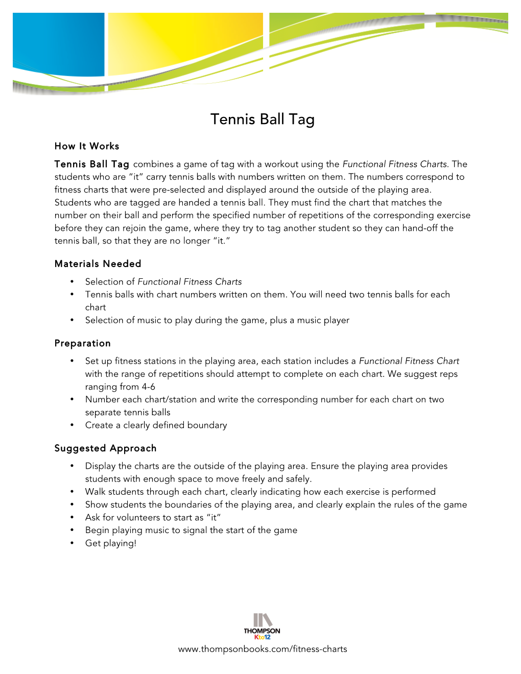 Tennis Ball Tag