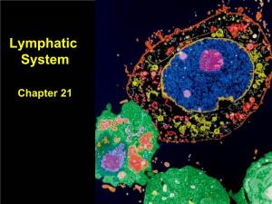 Chapter 21 the Lymphatic System