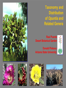 Taxonomy and Distribution of Opuntia and Related Plants