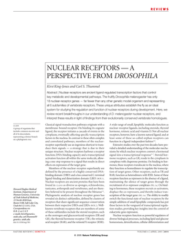 Nuclear Receptors — a Perspective from Drosophila