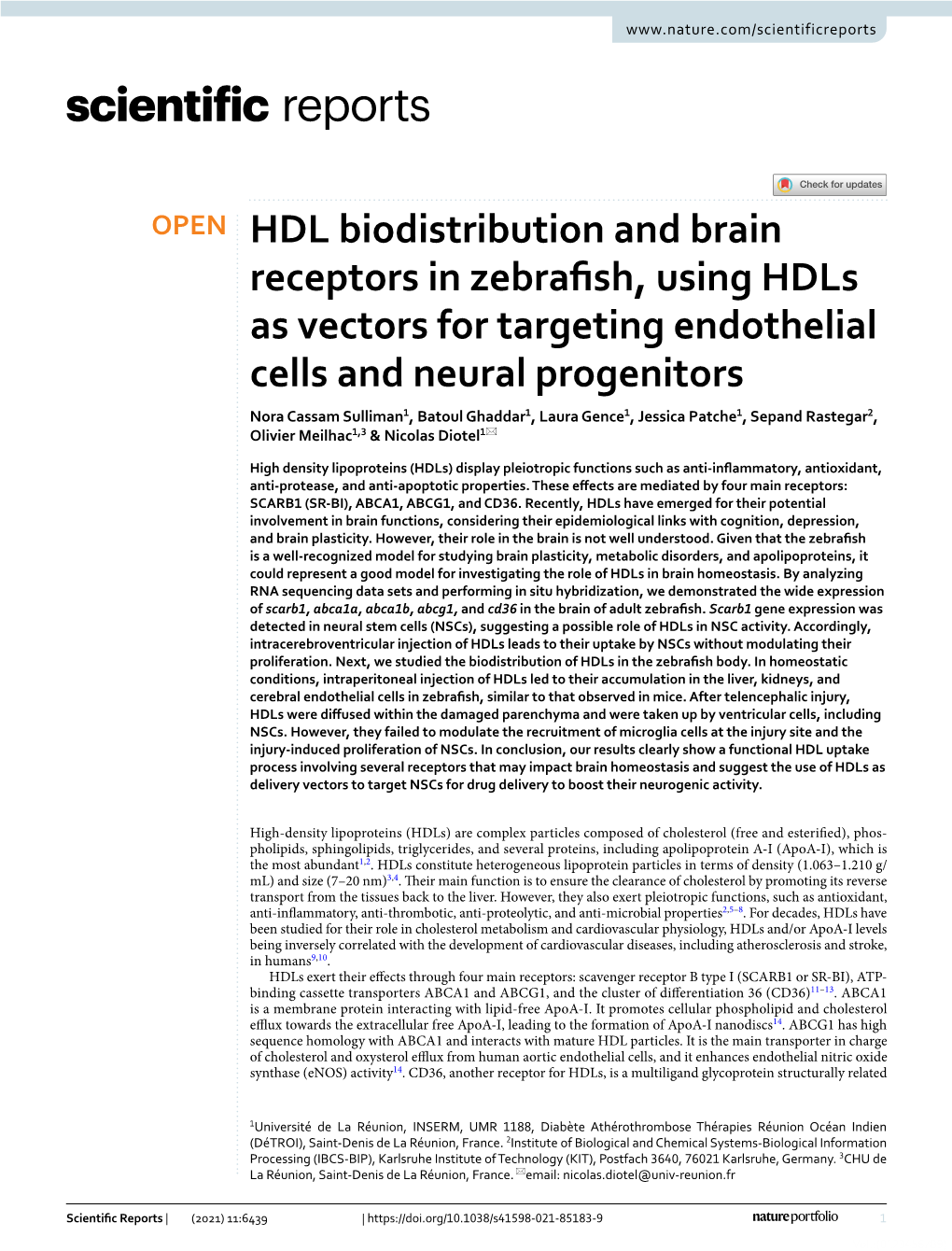HDL Biodistribution and Brain Receptors in Zebrafish, Using Hdls