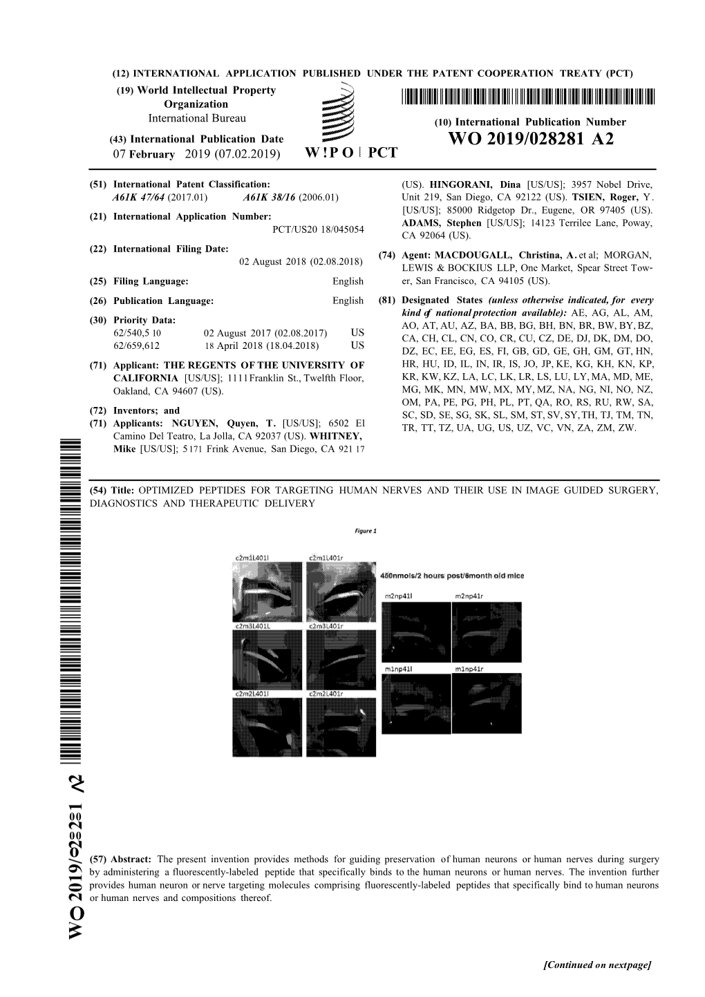 WO 2019/028281 A2 07 February 2019 (07.02.2019) W !P O PCT