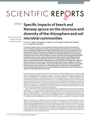 Specific Impacts of Beech and Norway Spruce on the Structure And