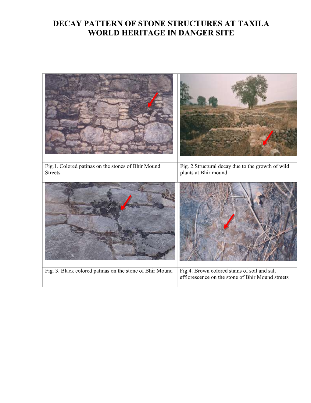 Decay Pattern of Stone Structures at Taxila World Heritage in Danger Site