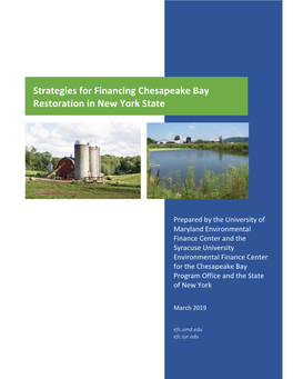 Strategies for Financing Chesapeake Bay Restoration in New York State