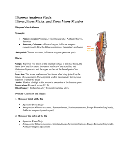 Iliopsoas Anatomy Study: Iliacus, Psoas Major, and Psoas Minor Muscles