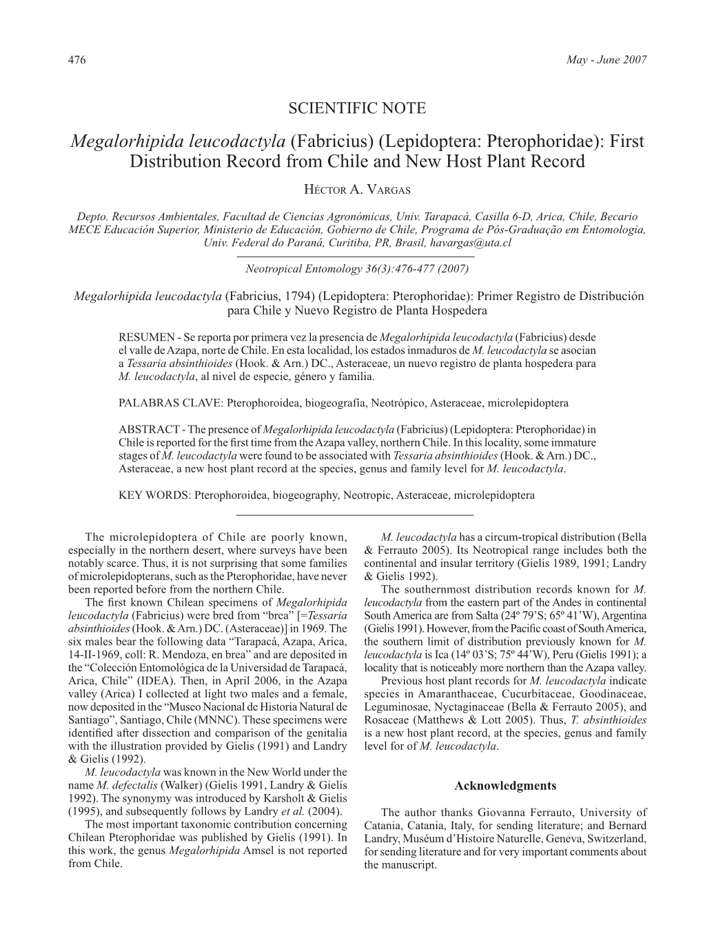 Megalorhipida Leucodactyla (Fabricius) (Lepidoptera: Pterophoridae): First Distribution Record from Chile and New Host Plant Record