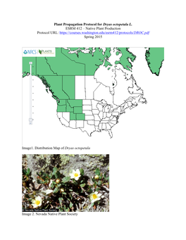 Plant Propagation Protocol for Dryas Octopetala L. ESRM 412 – Native Plant Production Protocol URL