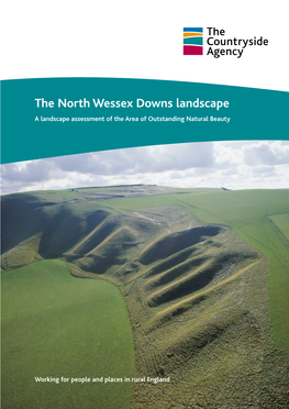 The North Wessex Downs Landscape a Landscape Assessment of the Area of Outstanding Natural Beauty