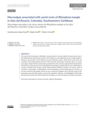 Macroalgae Associated with Aerial Roots of Rhizophora Mangle in Islas