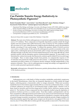 Can Parietin Transfer Energy Radiatively to Photosynthetic Pigments?