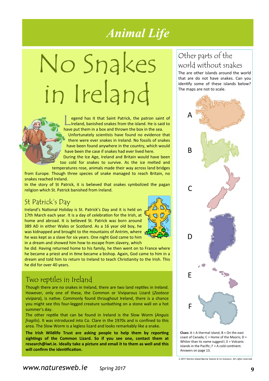 No Snakes in Ireland, There Are Two Land Reptiles in Ireland