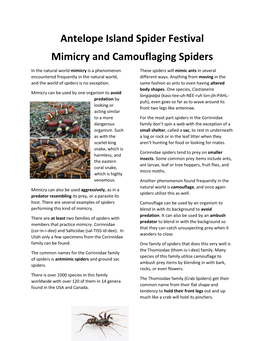 Mimicry and Camouflaging Spiders