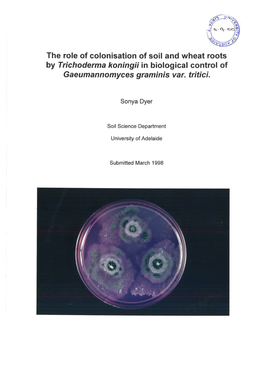 L and Wheat Roots by Trichoderma Koningii in Biological Control of Gaeumannomyces Graminis Var