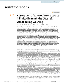 Absorption of Α-Tocopheryl Acetate Is Limited in Mink Kits