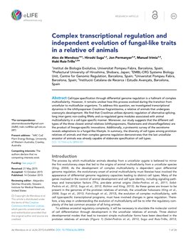 Complex Transcriptional Regulation and Independent Evolution Of