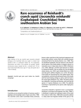 Rare Occurrence of Reinhardt's Cranch Squid Liocranchia Reinhardti