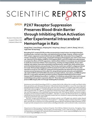 P2X7 Receptor Suppression Preserves Blood-Brain Barrier