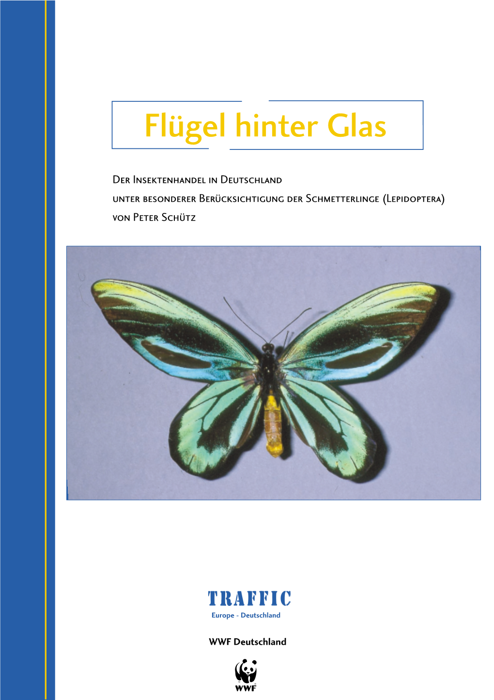 Flügel Hinter Glas