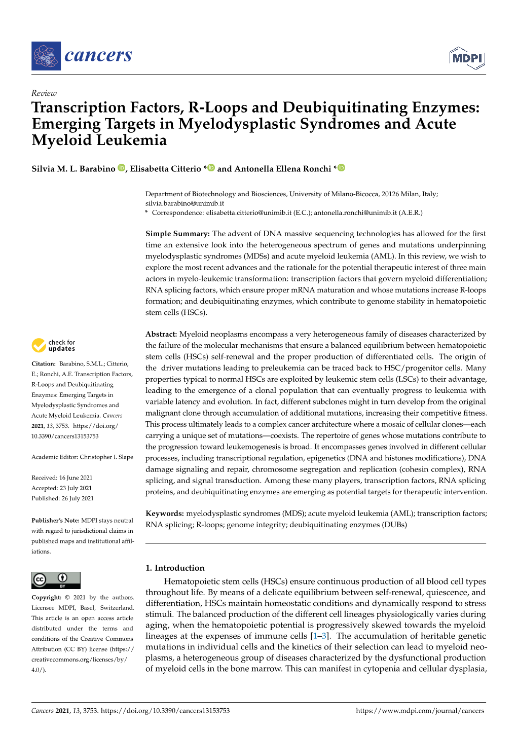 Transcription Factors, R-Loops and Deubiquitinating Enzymes: Emerging Targets in Myelodysplastic Syndromes and Acute Myeloid Leukemia