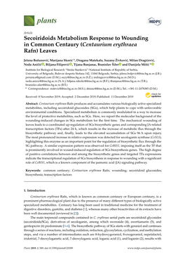 Secoiridoids Metabolism Response to Wounding in Common Centaury (Centaurium Erythraea Rafn) Leaves