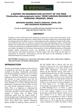 'Cheilanthes Albomarginata Clarke' from VARIOUS REGIONS of HIMACHAL PRADESH