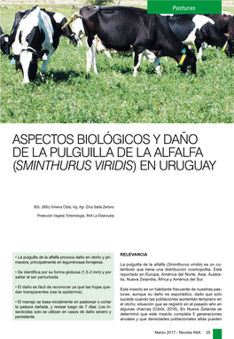 Sminthurus Viridis) En Uruguay