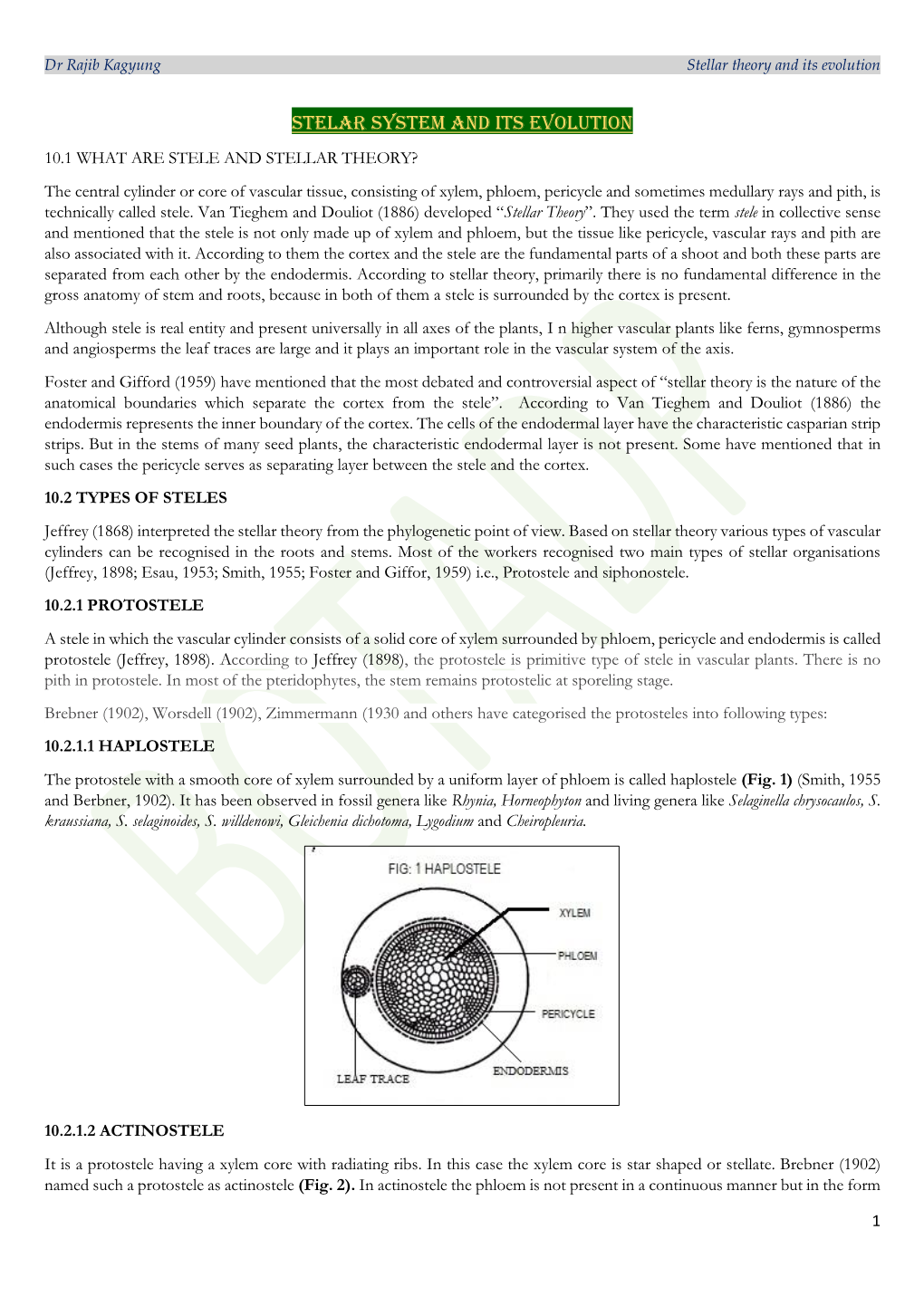 Stelar System and Its Evolution