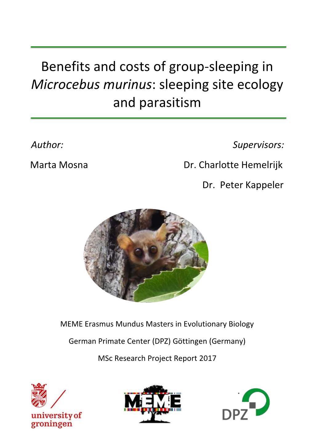 Benefits and Costs of Group-Sleeping in Microcebus Murinus: Sleeping Site Ecology and Parasitism