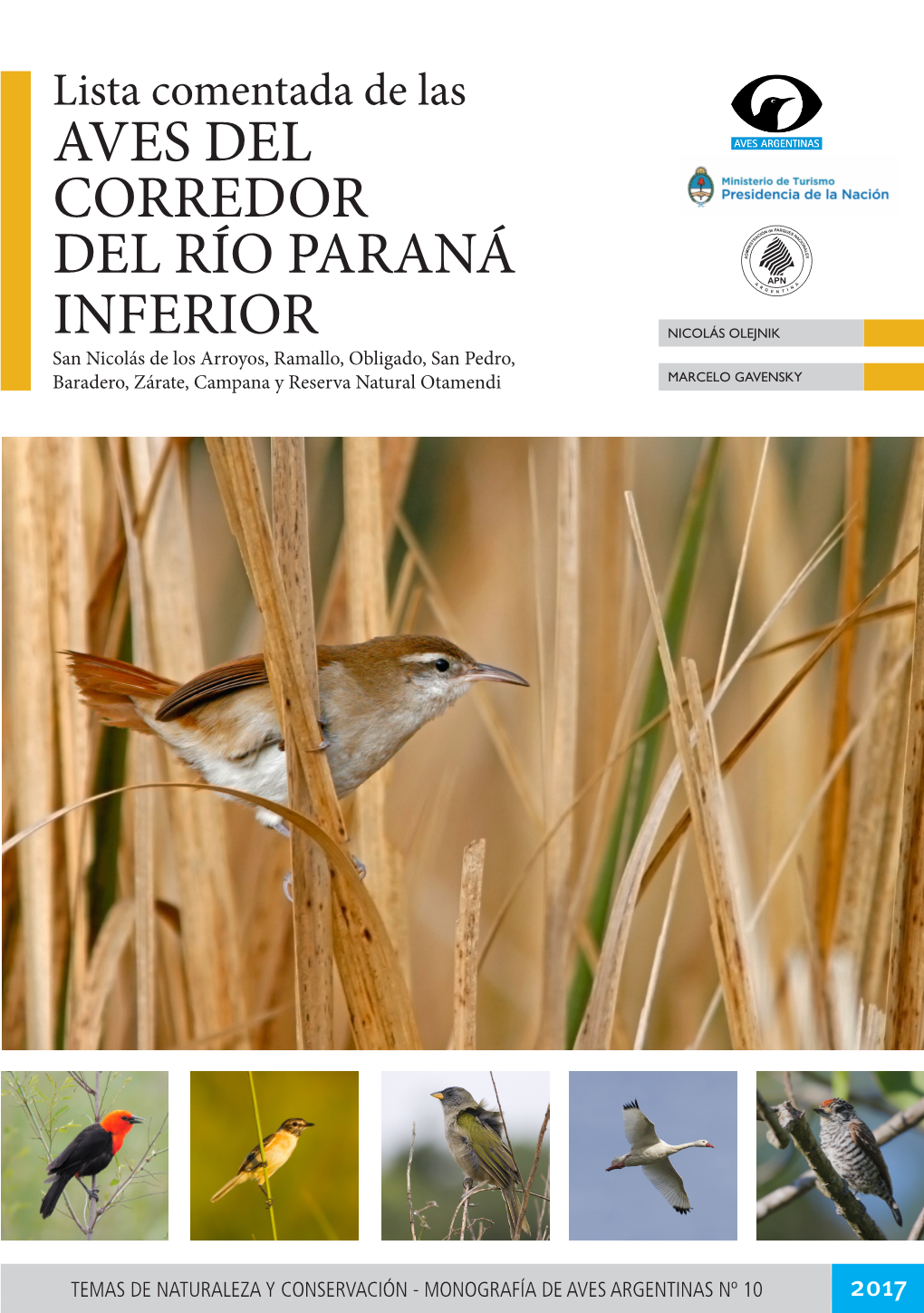 Paper 2017 Lista Comentada De Las Aves Del Corredor Del Río Paraná