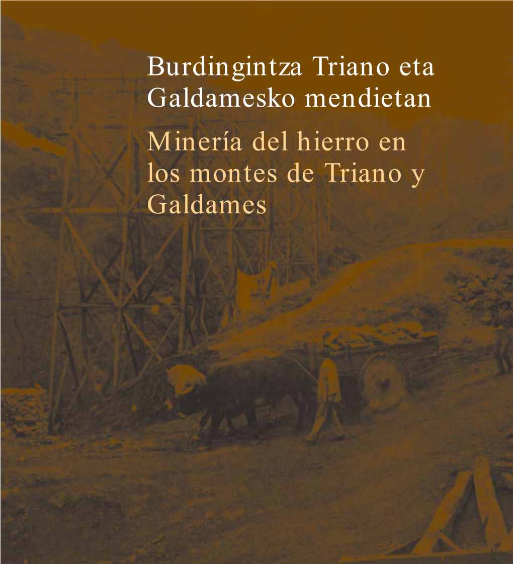 Minería Del Hierro En Los Montes De Triano Y Galdames