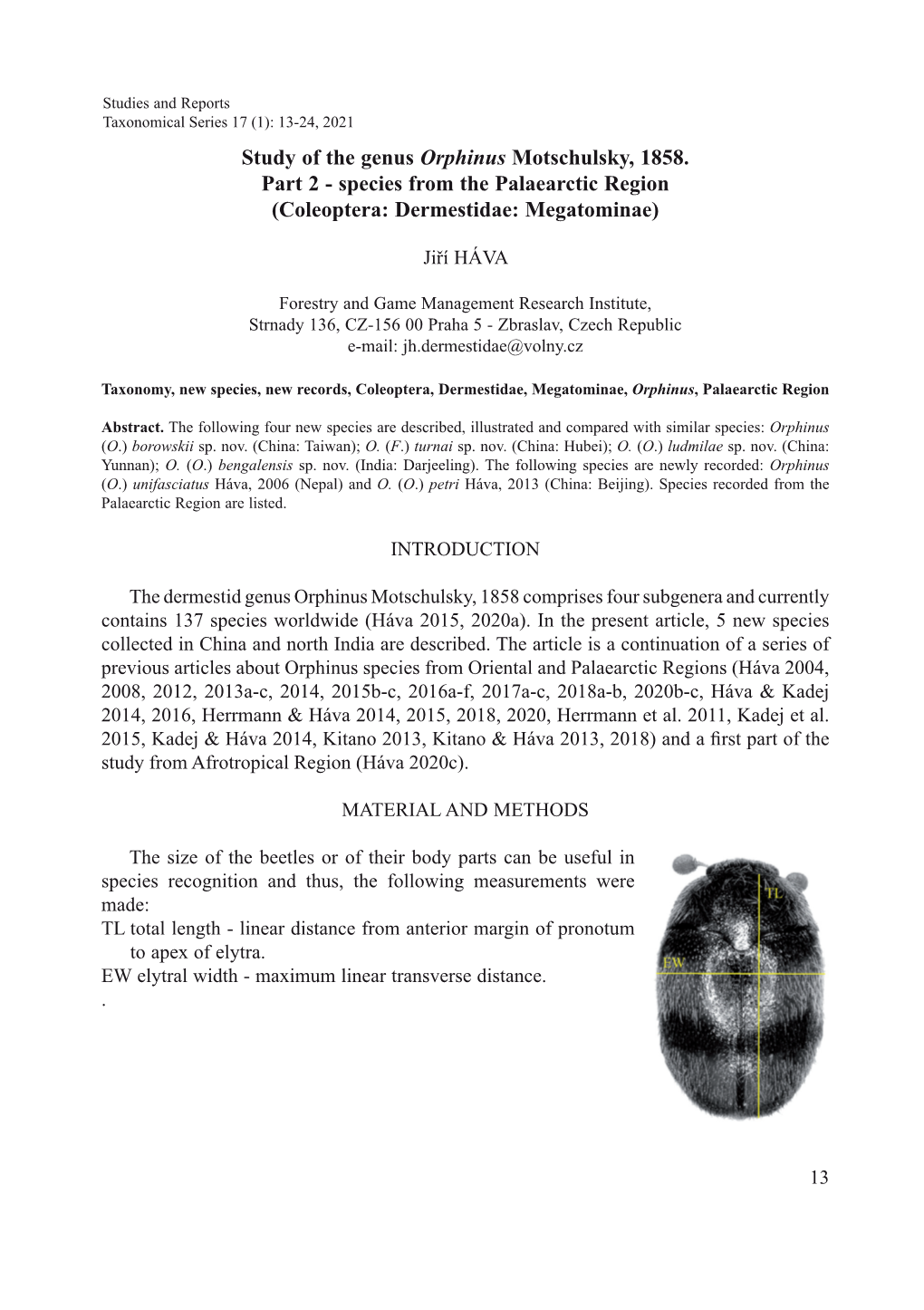 Study of the Genus Orphinus Motschulsky, 1858. Part 2 - Species from the Palaearctic Region (Coleoptera: Dermestidae: Megatominae)