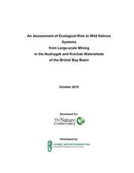 An Assessment of Ecological Risk to Wild Salmon Systems from Large-Scale Mining in the Nushagak and Kvichak Watersheds of the Bristol Bay Basin