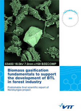Biomass Gasification Fundamentals to Support the Development of BTL in Forest Industry"