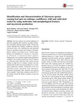 Identification and Characterization of Alternaria Species Causing Leaf Spot