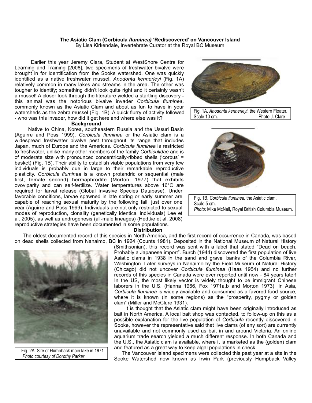 The Asiatic Clam (Corbicula Fluminea) 'Rediscovered' on Vancouver Island