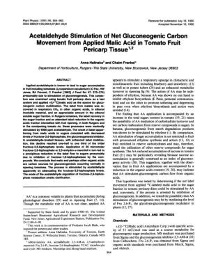 Acetaldehyde Stimulation of Net Gluconeogenic Carbon Movement from Applied Malic Acid in Tomato Fruit Pericarp Tissue'12