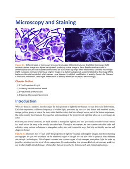 Microscopy and Staining