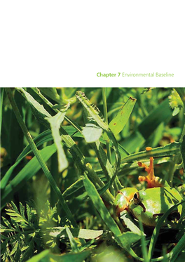 Chapter 7 Environmental Baseline