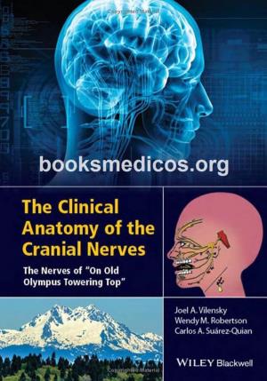 The Clinical Anatomy of the Cranial Nerves the Clinical Anatomy of the Cranial Nerves the Nerves of “On Old Olympus Towering Top”