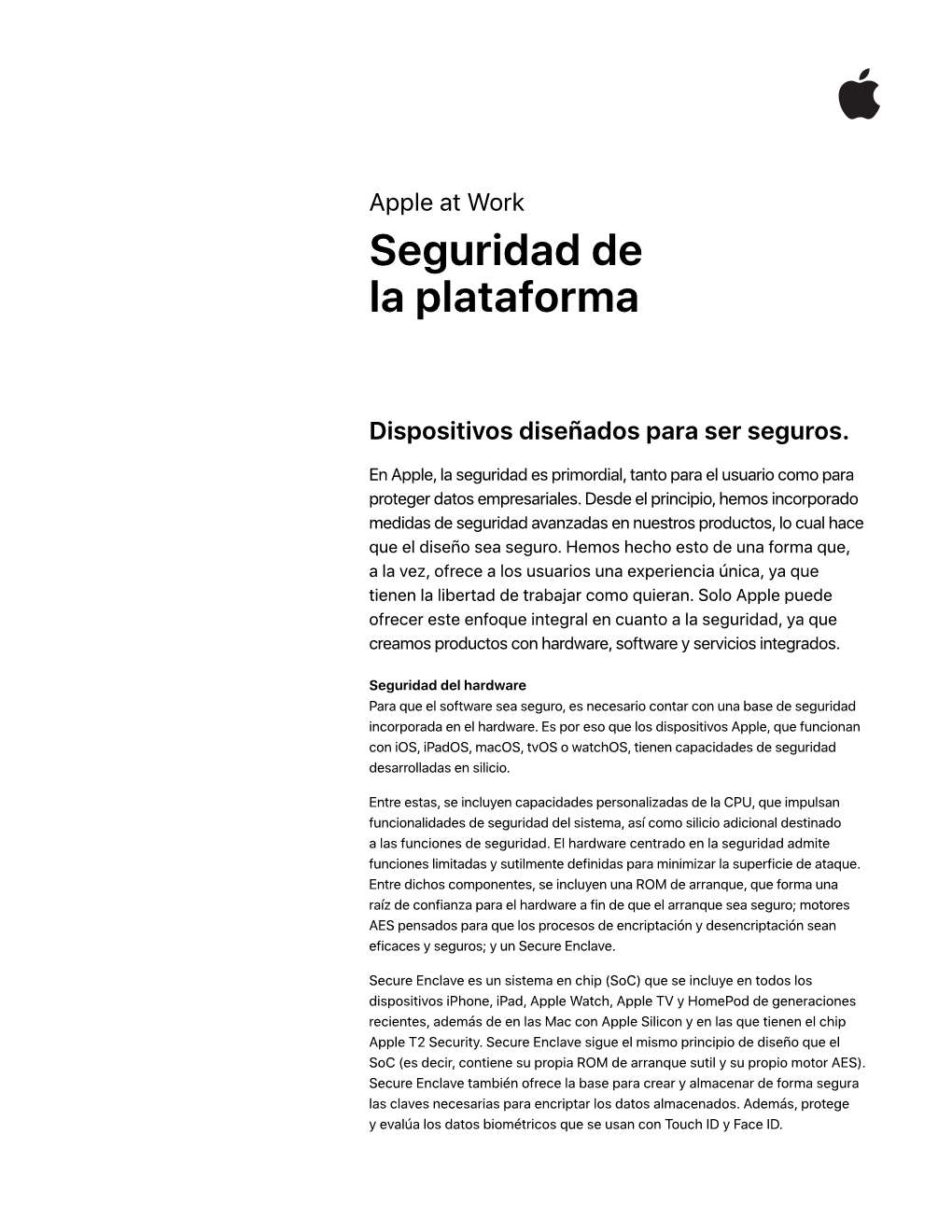 Resumen Sobre Seguridad De Plataformas (PDF)