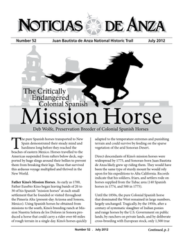 The Critically Endangered Colonial Spanish Mission Horse Deb Wolfe, Preservation Breeder of Colonial Spanish Horses
