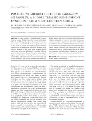 Postcanine Microstructure in Cricodon Metabolus