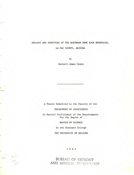 Bureau of Geology and Mineral Tbch\Vjlogy Statement by Author