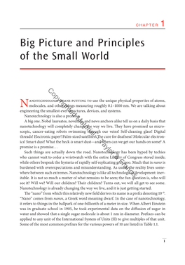 Big Picture and Principles of the Small World