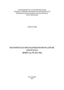 DIATOMÁCEAS DO PALEÓGENO DO PLATÔ DE SÃO PAULO (DSDP Leg 39, Site 356)