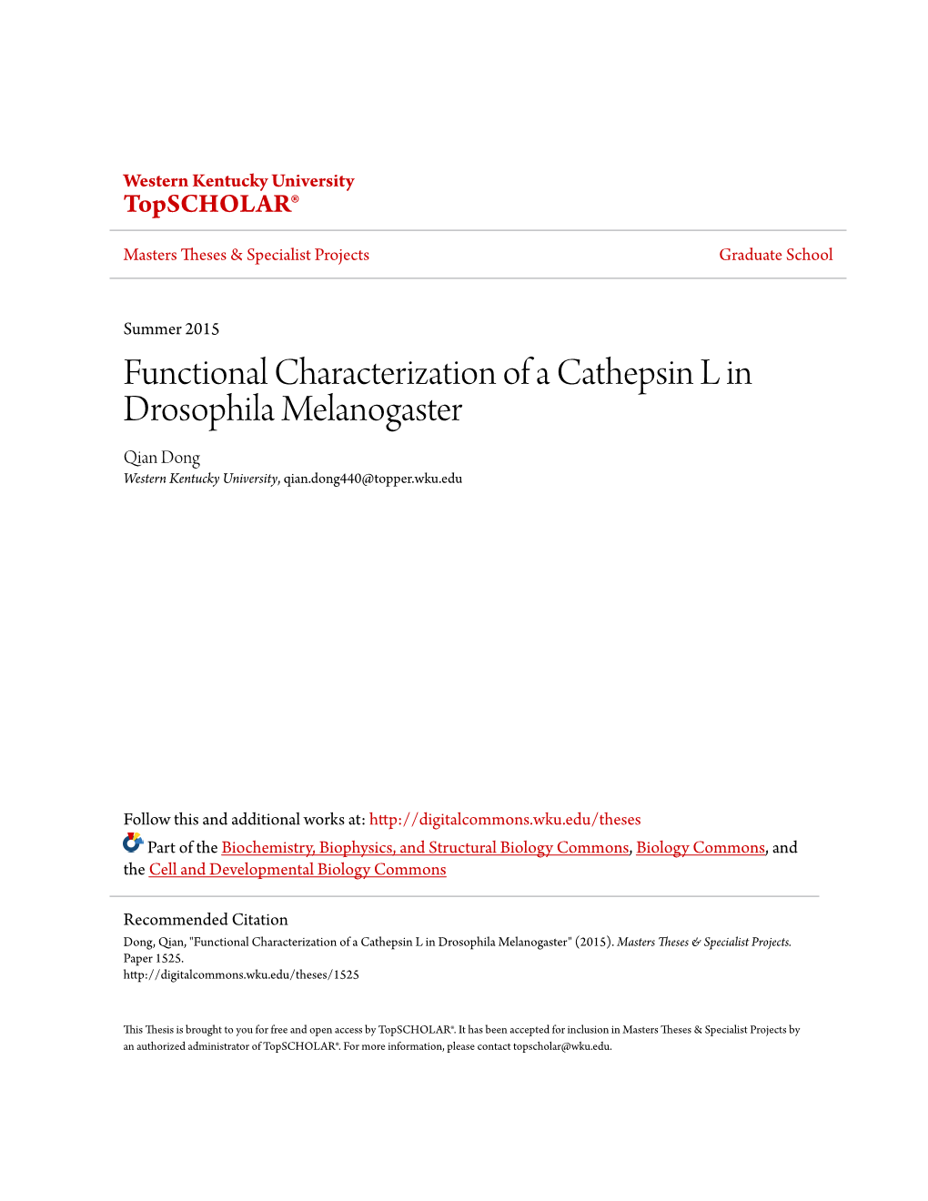 Functional Characterization of a Cathepsin L in Drosophila Melanogaster Qian Dong Western Kentucky University, Qian.Dong440@Topper.Wku.Edu