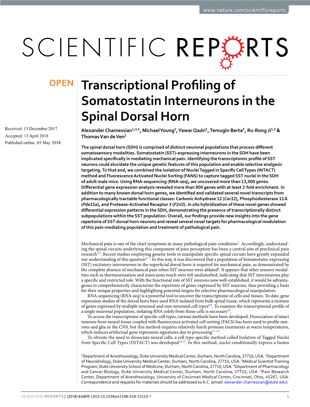 Transcriptional Profiling of Somatostatin Interneurons